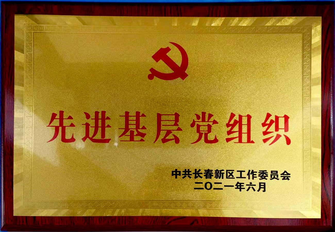 長(zhǎng)春新區(qū)先進(jìn)基層黨組織