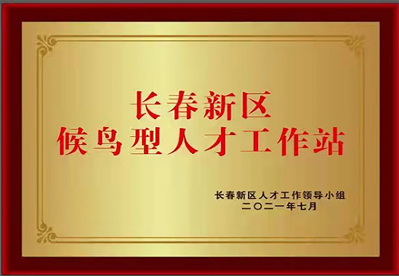 長(zhǎng)春新區(qū)候鳥(niǎo)型人才工作站