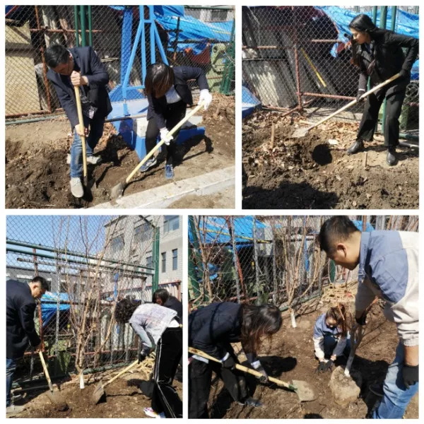 1555116657679934.jpg 640 (2).jpg