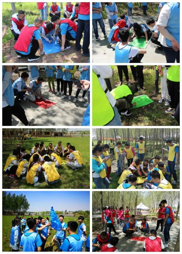 1560146419584401.jpg 640 (8).jpg