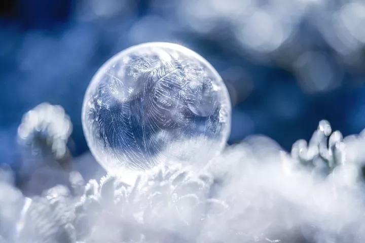 1606005942260914.jpg 640.webp (2).jpg